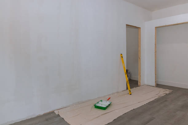 Best Ceiling Drywall Installation  in Rogersville, MO