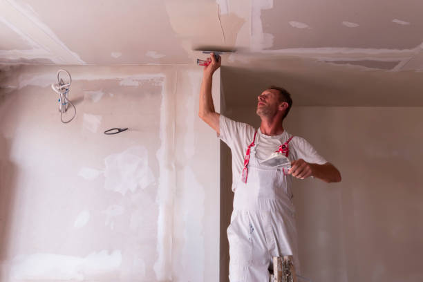 Best Drywall Removal and Disposal  in Rogersville, MO