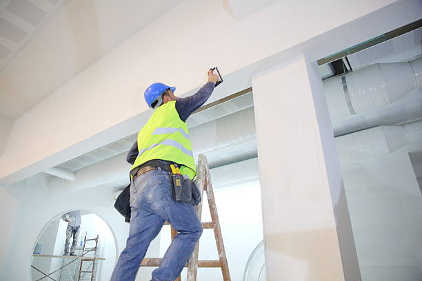 Best Ceiling Drywall Installation  in Rogersville, MO