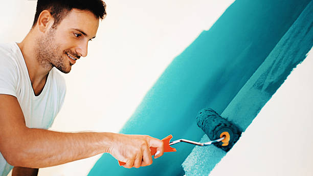 Best Wall Texturing and Painting  in Rogersville, MO