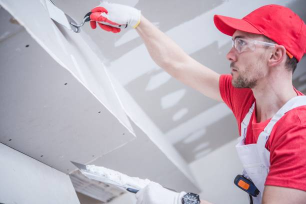 Best Water-Damaged Drywall Repair  in Rogersville, MO